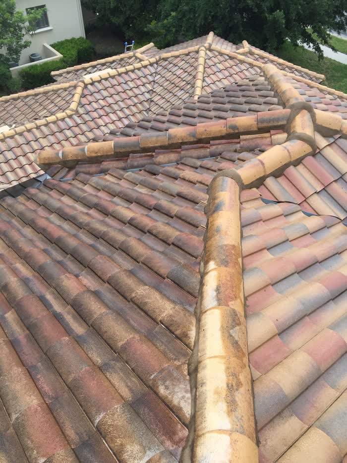 Dark streaks and grime cover the curved tiles of a wide roof, ridge caps running down the middle.