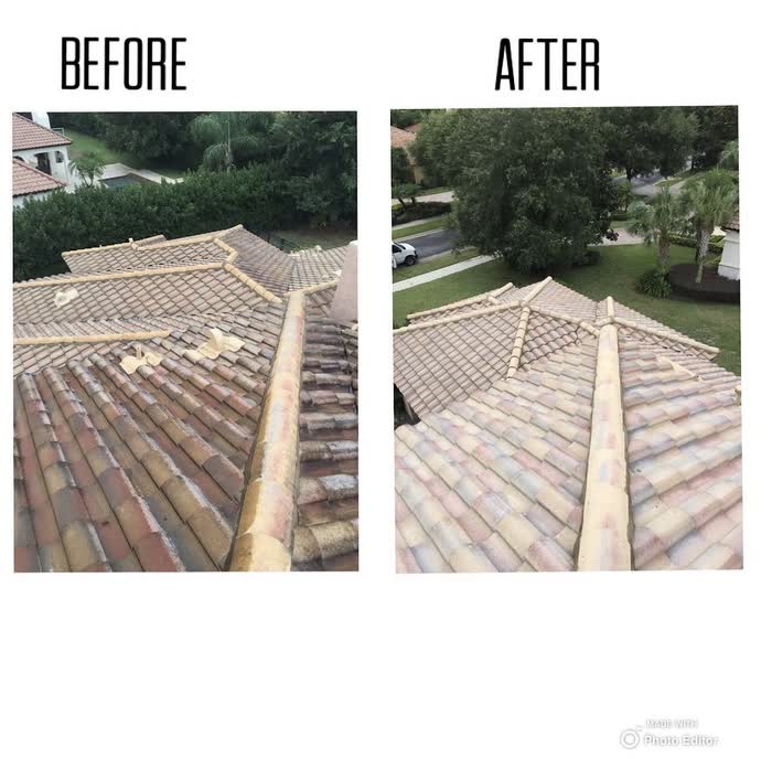 A before and after pair showing a stained tile roof and the same roof left pale and clean.