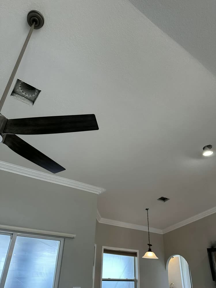 A ceiling and crown moulding freshly cut in, with the windows below sheeted in plastic.