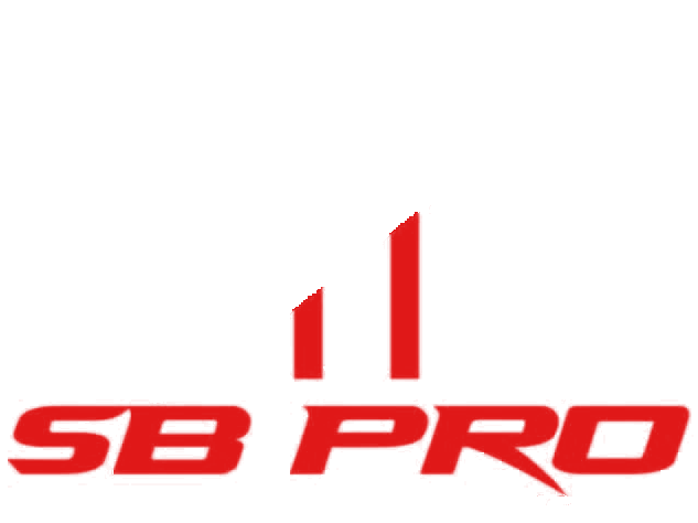 SB Pro Construction & Painting Inc.